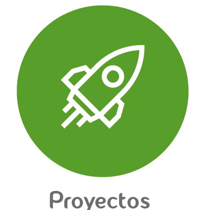 proyectos